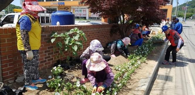 강화읍_바르게살기협의회_꽃식재