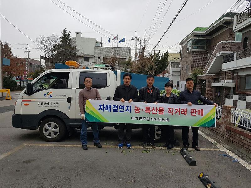 김장배추직거래