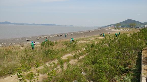 망월해안가대청소(부녀회,2017