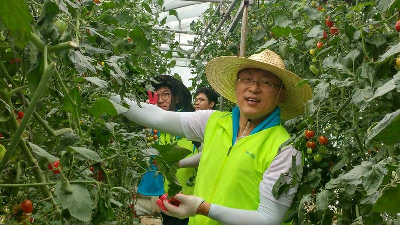 농가일손돕기_(2)