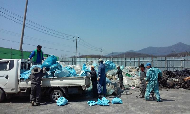 폐비닐수거_(10)