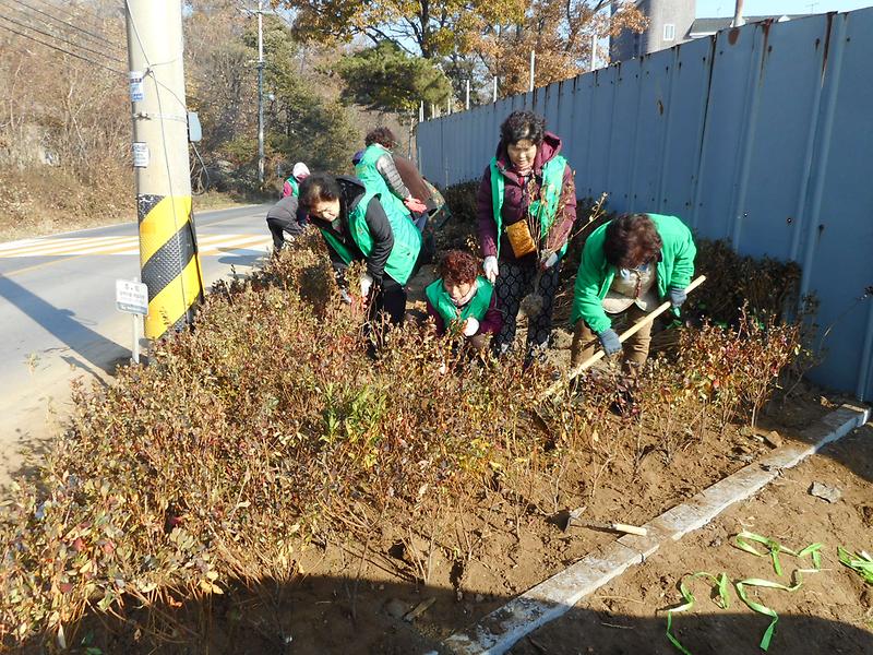 새마을부녀회_양심꽃동산