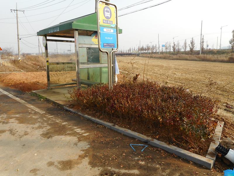 양심꽃동산_조성후2