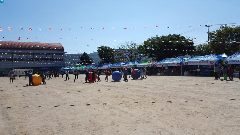 면민의_날_기념_체육대회_1