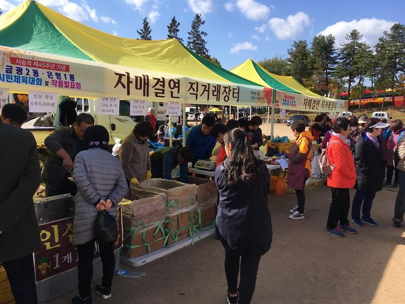 농산물직거래장터(18