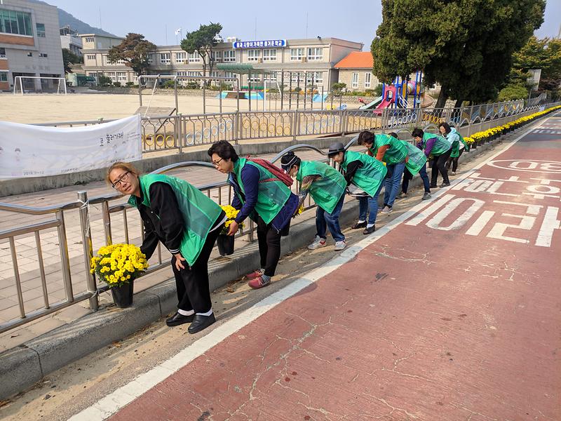 삼산면_새마을부녀회_국화꽃_거리_조성_(1)
