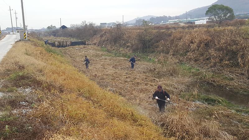 이장단_풀베기5