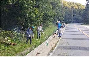 이장단_풀베기_작업1