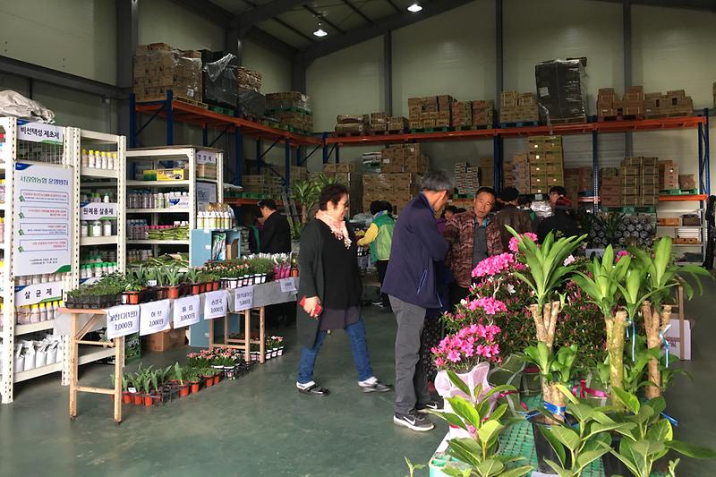 내가면_꽃_판매2