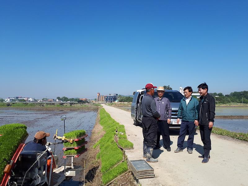 사진2(모내기_현장)