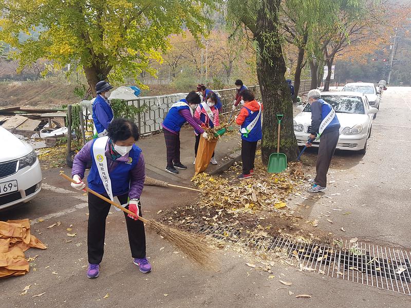 바르게살기위원회_환경정화