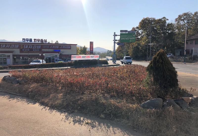 보도자료_사진(찬우물_삼거리_자산홍_식재)