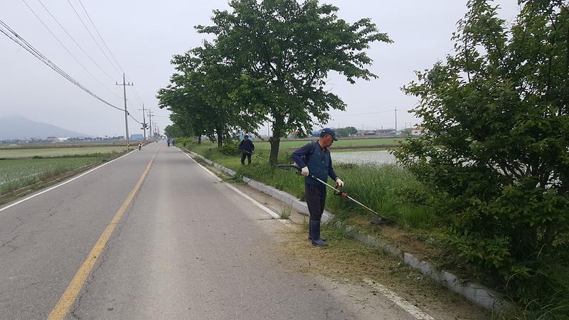 하점면_제초작업사진1