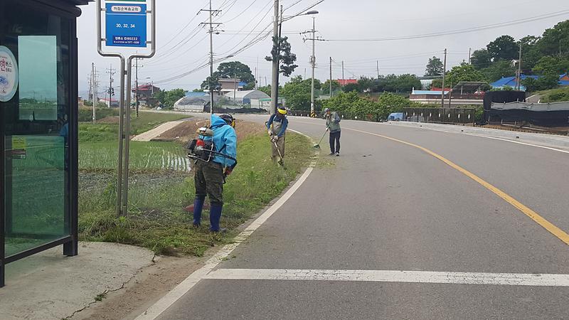 하점면_제초작업사진2