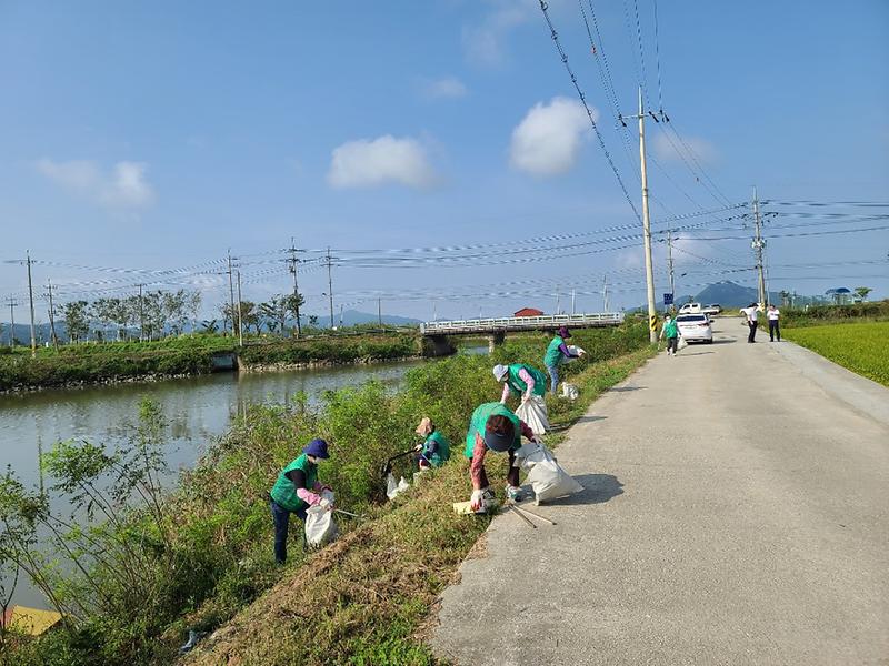 하점면_새마을부녀회_삼거천환경정비2