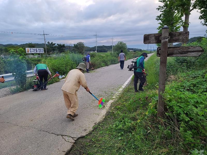 하점면새마을지도자_제초작업(8