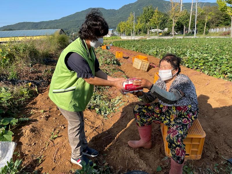 보도자료_사진-2