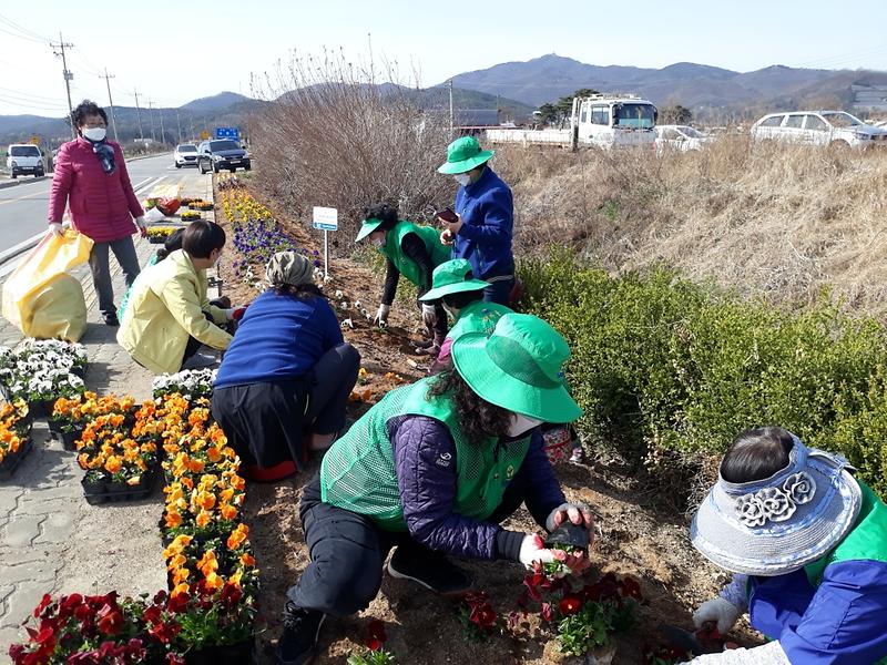 부녀회_꽃길조성2