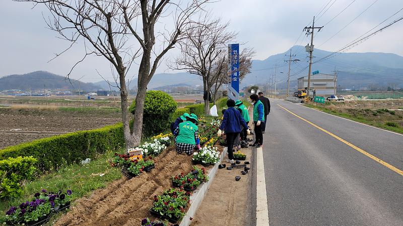 초화식재(부녀회)