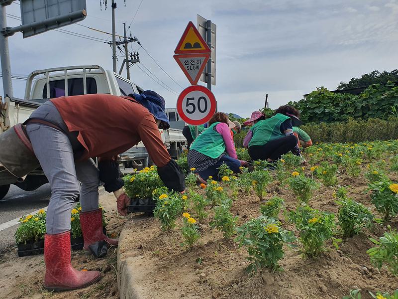 관련사진(보도자료1)