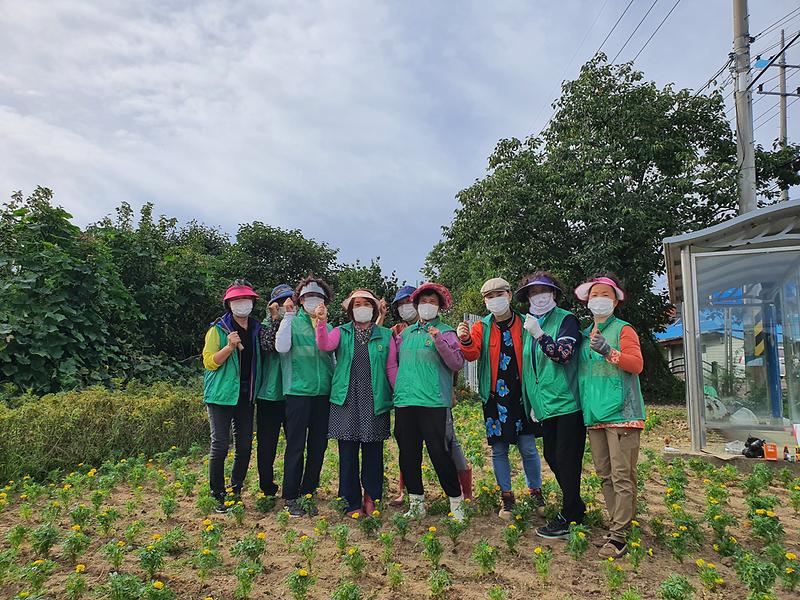 관련사진(보도자료2)