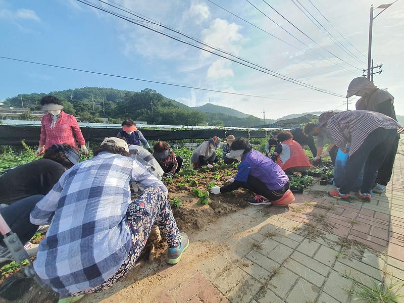 관련사진(생활개선회1)