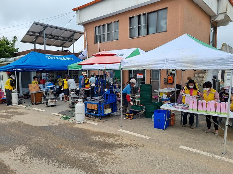 하일리_활동전경