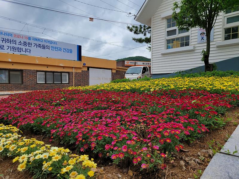 화도면_꽃밭