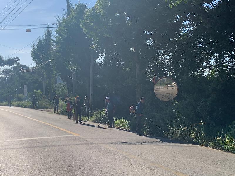 주민자치_추석맞이_제초