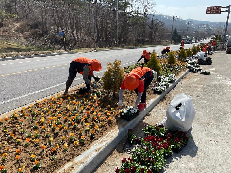 봄꽃식재(농가주부모임2)