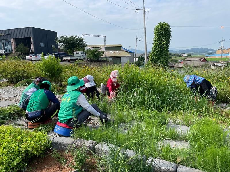 부녀회제초작업1