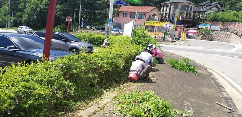 찬우물_삼거리_화단1