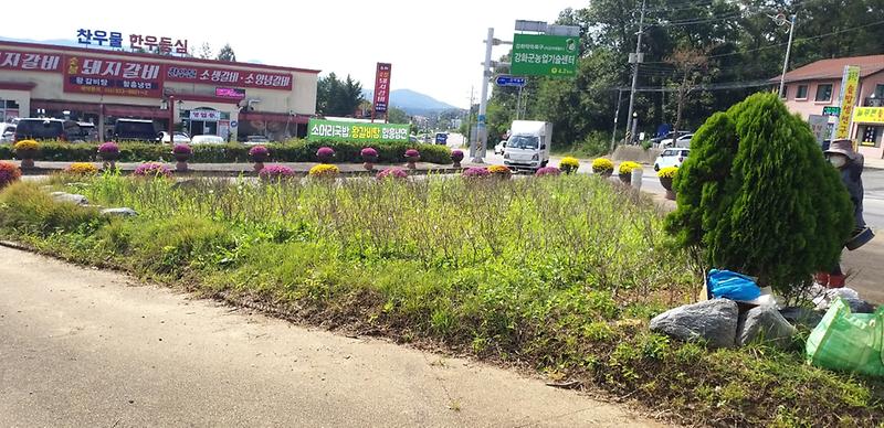 찬우물_삼거리_화단2