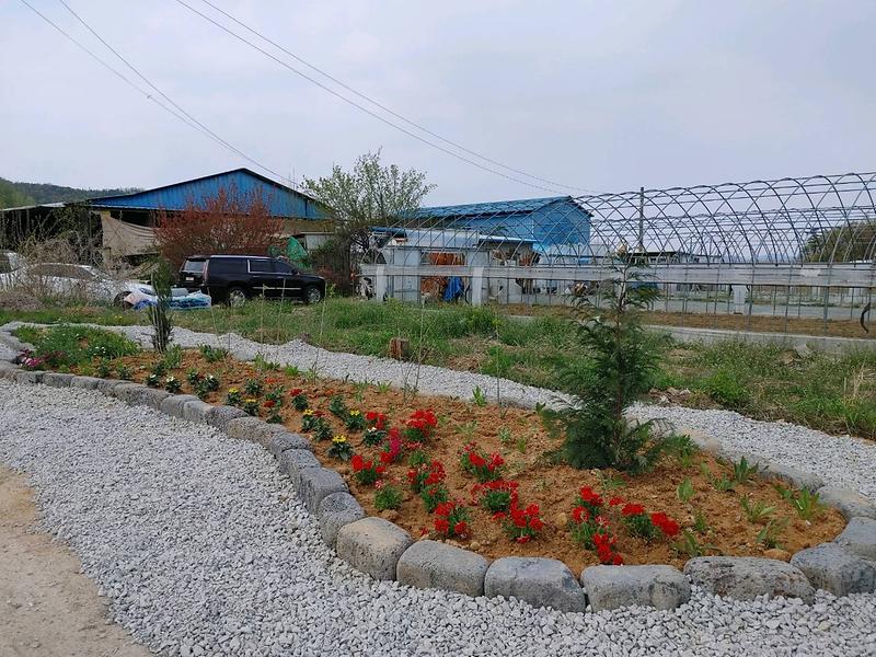 당산리_신규화단