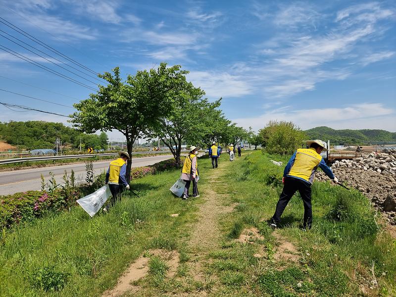관련사진2(환경정화)