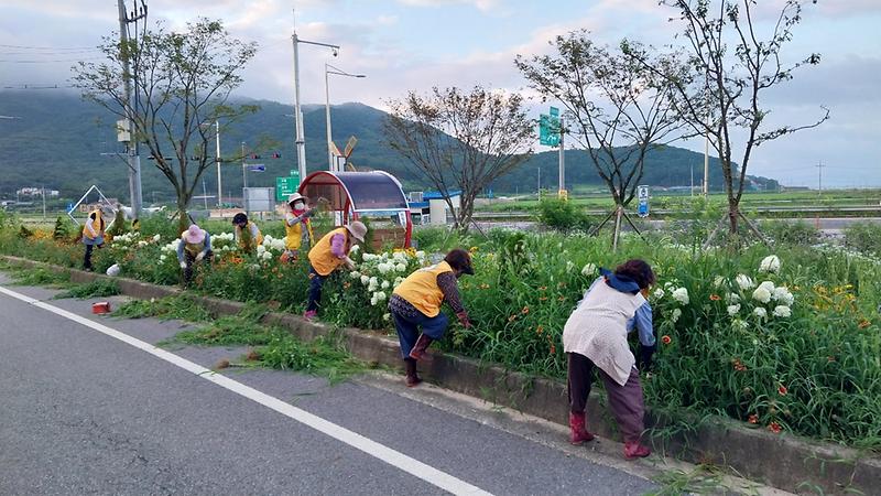관련사진-적십자봉사회