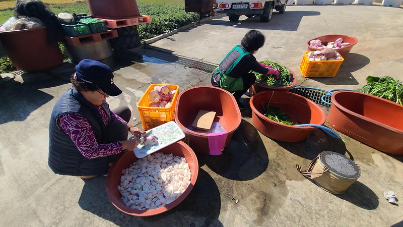 화도면_주민자치위원회_순무담그기행사1