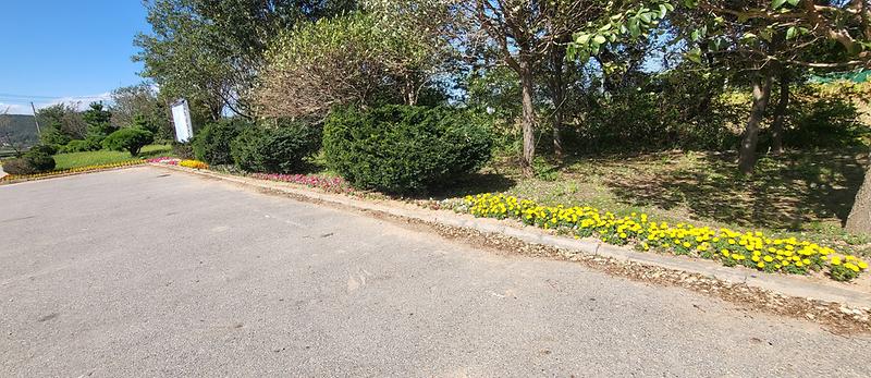 지산1리_해안가