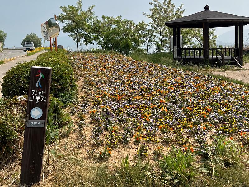 지산리_꽃밭3