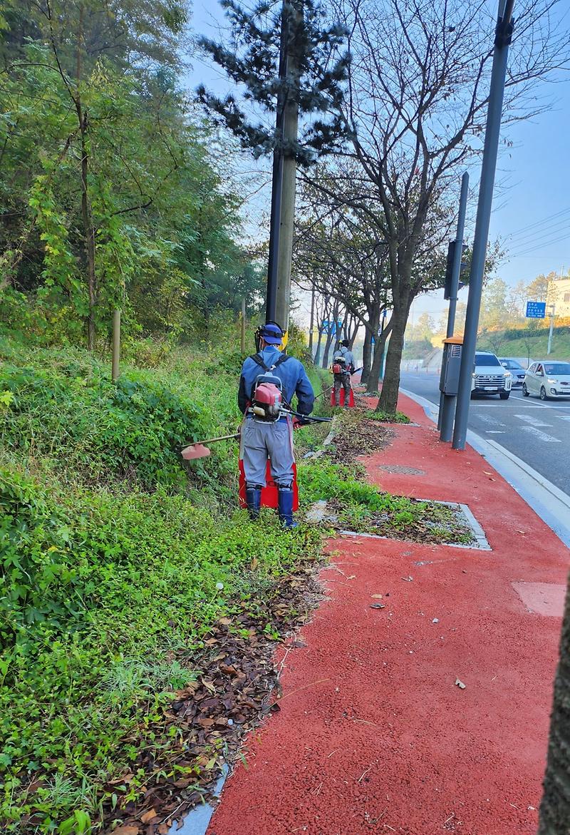 중앙로_도로변_제초1