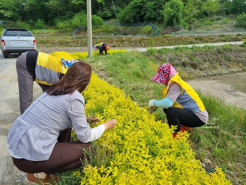 노인자원봉사클럽1