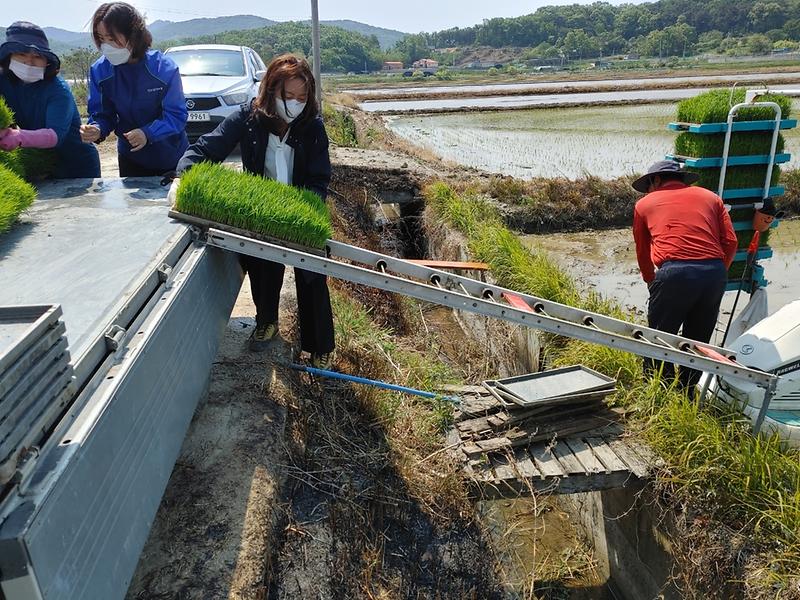 풍년기원_모내기_현장_방문