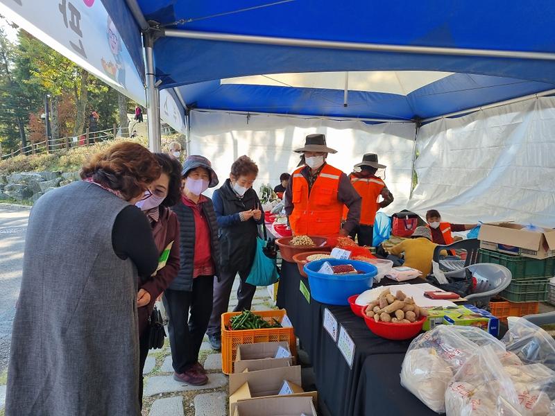 Resized_20221022_122803