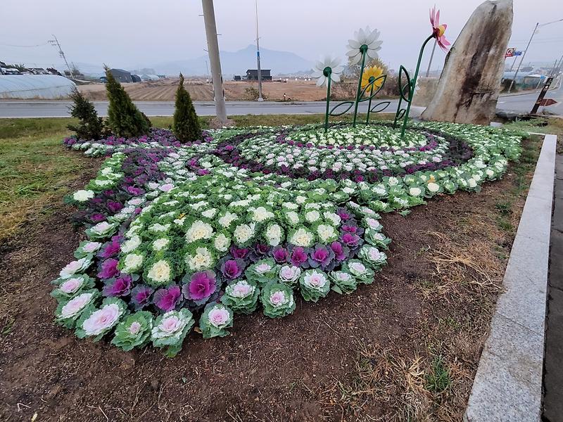 Resized_20221111_172901