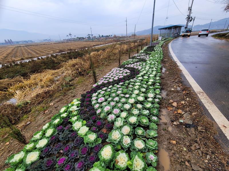 Resized_20221112_155423