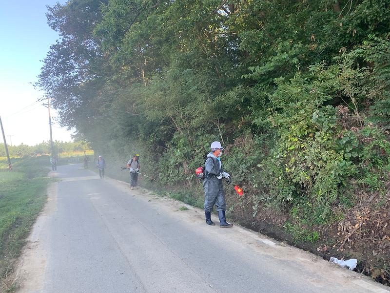 생태계교란종_퇴치_(2)