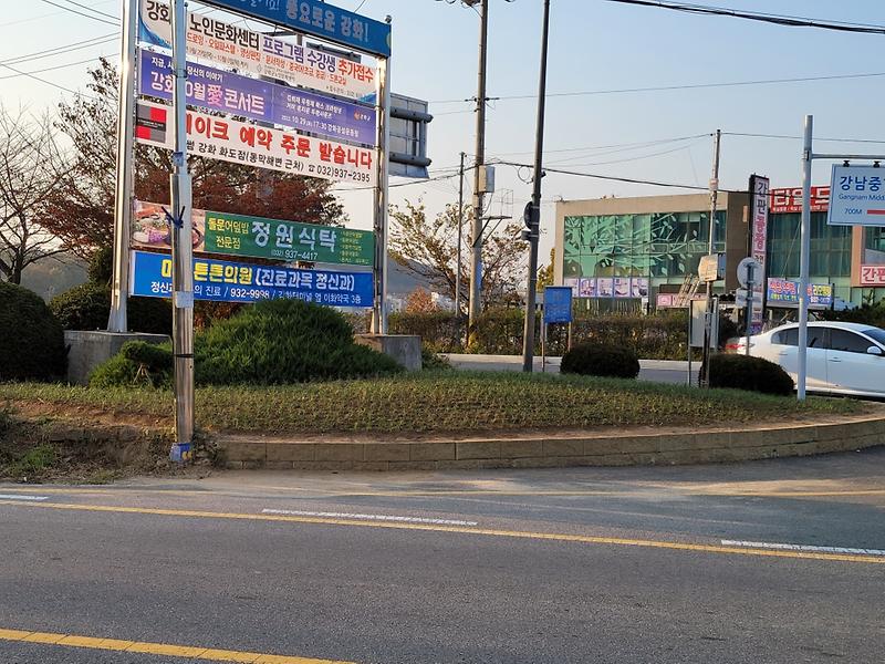 우리마을_맥문동1