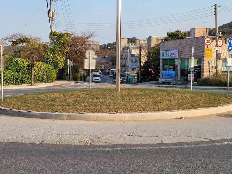 우리마을_맥문동2