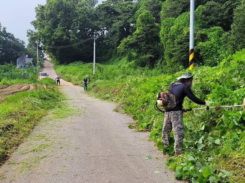 길직1리_제초작업2