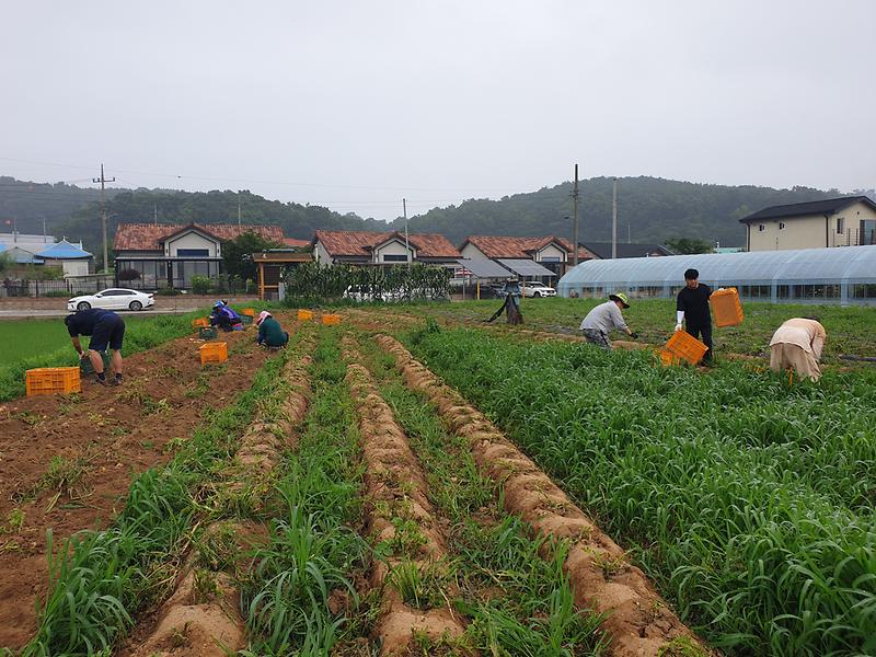 관련사진(주민자치위원회_1)